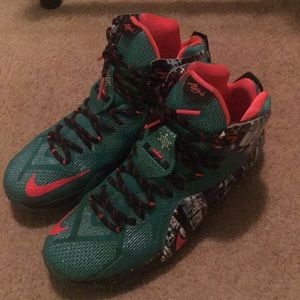 Nike 2014 limited edition lebron 12’s